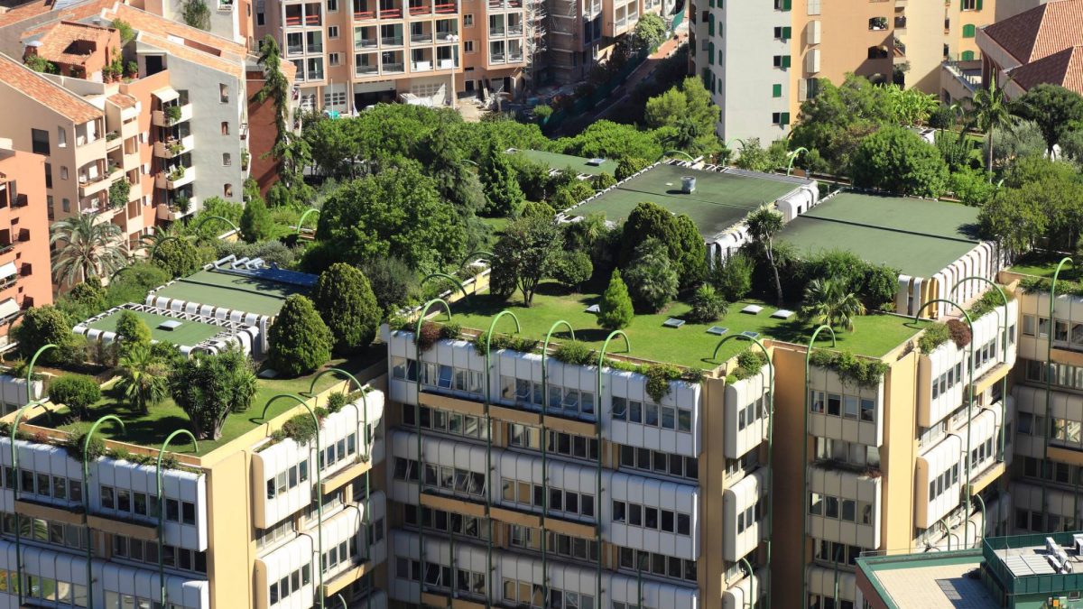 Construções sustentáveis: 5 razões para investir agora mesmo!